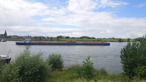 Ein festgefahrenes Containerschiff auf dem Rhein, im Hintergrund das Ufer mit Häusern