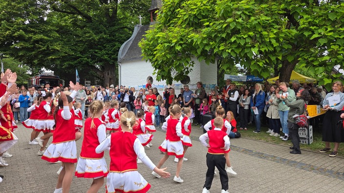 Die Tanzgruppe des Boisheimer Kinderkarnevals bei ihrem Auftritt.