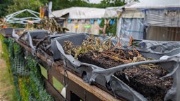 Geschmolzene Blumenkästen an einem Zaun
