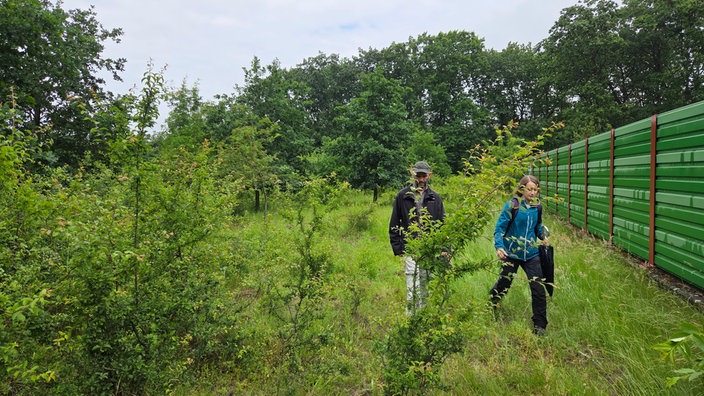 Luisa Grooten und Markus Heines überqueren die Grünbrücke. Um sie herum ist viel grüne Natur.