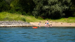 Am Rheinufer steht eine Familie mit drei Kindern am Wasser. Im Vordergrund treibt eine Person mit orangefarbener Rettungsweste im Rhein. Die Familie beobachtet eine Wasserrettungsübung von der Uferkante aus. Die beiden Jungs sitzen dabei im Wasser.