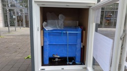 In dem blauen Plastikcontainer ist der rund 200 kg schwere Eisblock.