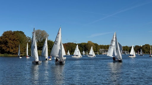 Segelboote auf dem Aasee