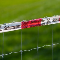 Ein Zaun gegen die Ausbreitung der Afrikanischen Schweinepest (ASP) steht in Südhessen.