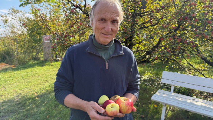 Ein älterer Mann hält Äpfel in der Hand. Er steht zwischen Apfelbäumen. Er trägt eine dunkelblaue Jacke.