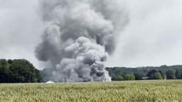 Hinter einer Wiese steigt starker Rauch auf.