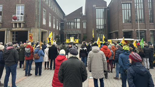 Eine Menschenmenge von hinten, einige halten gelbe Banner in die Luft