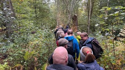 Eine Gruppe beim Wandern durch den Wald mit Erzbischof Bentz