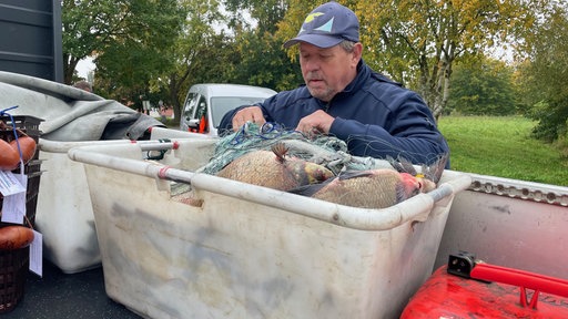 Ein Mann schaut in einen Korb voll mit Fischproben.
