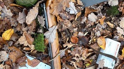 Gewehr unter dem Laub