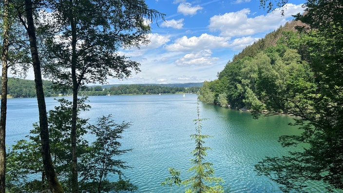 Hennesee im Sonnenschein, im Vordergrund Bäume