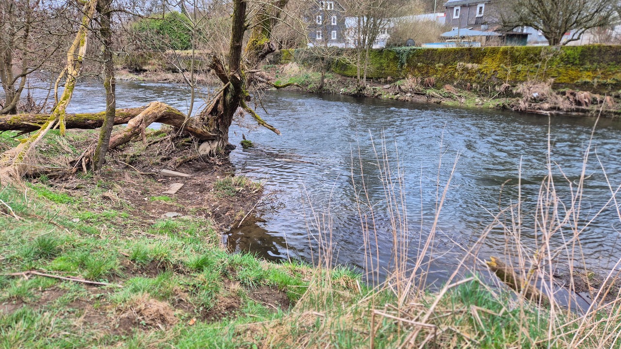 Fluss Sieg