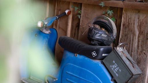 Motorradhelm mit Nest auf dem Motorrad