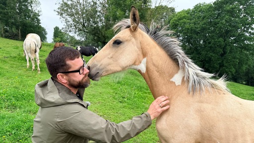 Pinto-Pferd mit seinem Besitzer Thomas Graßhoff.