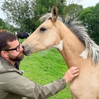 Pinto-Pferd mit seinem Besitzer Thomas Graßhoff.