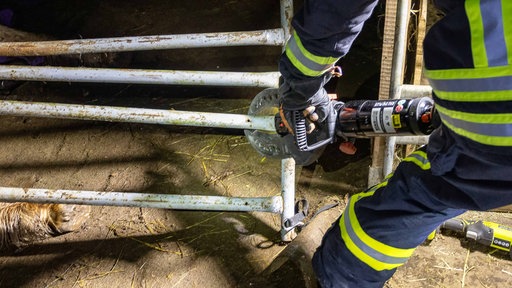 Die Feuerwehr flext das Gitter auf