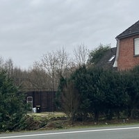 ein kaputter Busch neben einem Haus