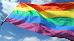 Eine Regenbogenflagge die im Wind weht.