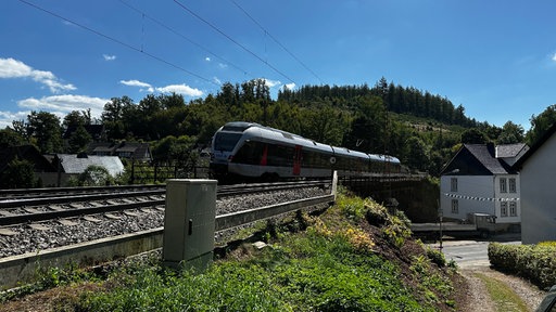 Ein Zug auf Schienen im Vordergrund - im Hintergrund Bäume