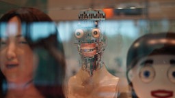 Andere Robotermodelle.