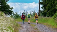 drei Wanderer auf Wanderweg mit dem Rücken zur Kamera gedreht