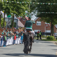 Ein Reiter 2017 beim Schützenumzug in Warendorf-Hoetmar in grüner Uniform auf einer Straße mit Zuschauern und Fahnen