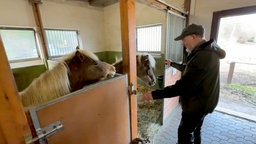 Ein Mann steht in einem Stall. Vor ihm sind Stallboxen mit zwein Ponys.