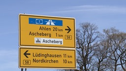 Rinder-Chaos im Kreis Coesfeld