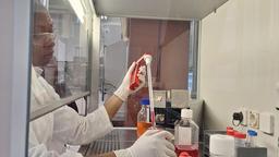 Eine junge Frau arbeitetet mit einer Pipette in einem sterilen Kasten. 