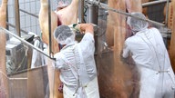 Die Arbeit im Tönnies-Zerlegebetrieb mit neuem Hygienekonzept