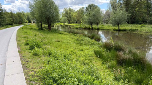 Neben dem Weg fließt Wasser