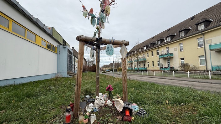 Ein Gedenkbaum für das Opfer steht auf einer Wiese, daran befinden sich mehrere Briefe, Blumen und Gedenkkerzen