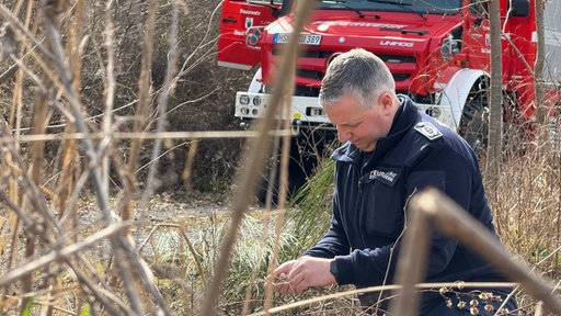 Ein Feuerwehrmann steht in einem Waldstück, im Vordergrund ist ausgetrocknetes Laub zu sehen