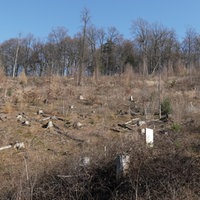 Eine Kahlfläche unterhalb des Bielefelder Fernsehturms. 