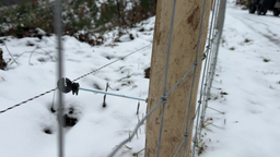 Durch einen Maschendrahtzaun sieht man Spuren im Schnee