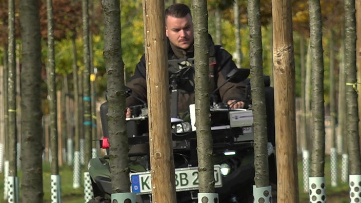 Mann auf Traktor hinter Bäumen 