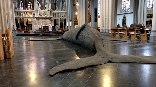 Im Xantener Dom liegt der Abguss eines gestrandeten Buckelwals