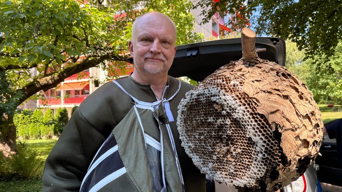 Ein Mann steht in olivgrünem Overal vor einem Baum. In der Hand hält er ein Hornissennest.