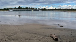 Das Rheinufer in Köln Rodenkirchen. Im Hintergrund fährt ein Schiff über das Wasser.