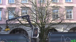 Baumfällung vor Barmer Rathaus