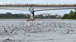 Hunderte Schwimmer im Rhein unter der Kennedybrücke
