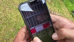 Eine Person hält ein Handy mit beiden Händen fest. Auf dem Handybildschirm ist ein Foto von einem Wolfswelpen hinter einem Zaun zu sehen.