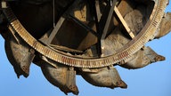 Klimaschutz: Aktivisten besetzen Bagger