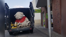 Das Bild zeigt den Teddy im Auto.