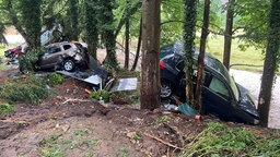 Fahrzeuge, die in ein Waldstück geschwemmt wurden