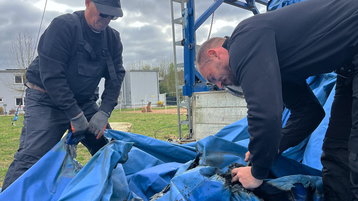 Zirkuszelt brennt bei Kölner Zirkus