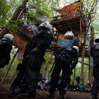 Polizisten umstellen ein Baumhaus