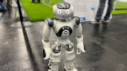 Zu sehen ist ein weiß, grauer Roboter mit zwei Armen und zwei Beinen. 