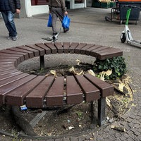 Baumkontrolle