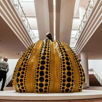 Ein Besucher in der Ausstellung Yayoi Kusama im Museum Ludwig